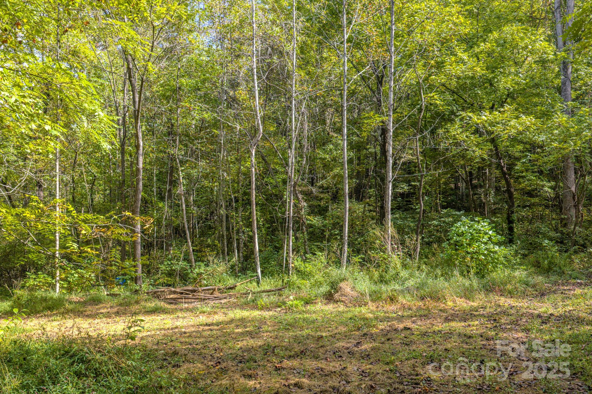 170 Midnight Sun Lane Old Fort NC 28762