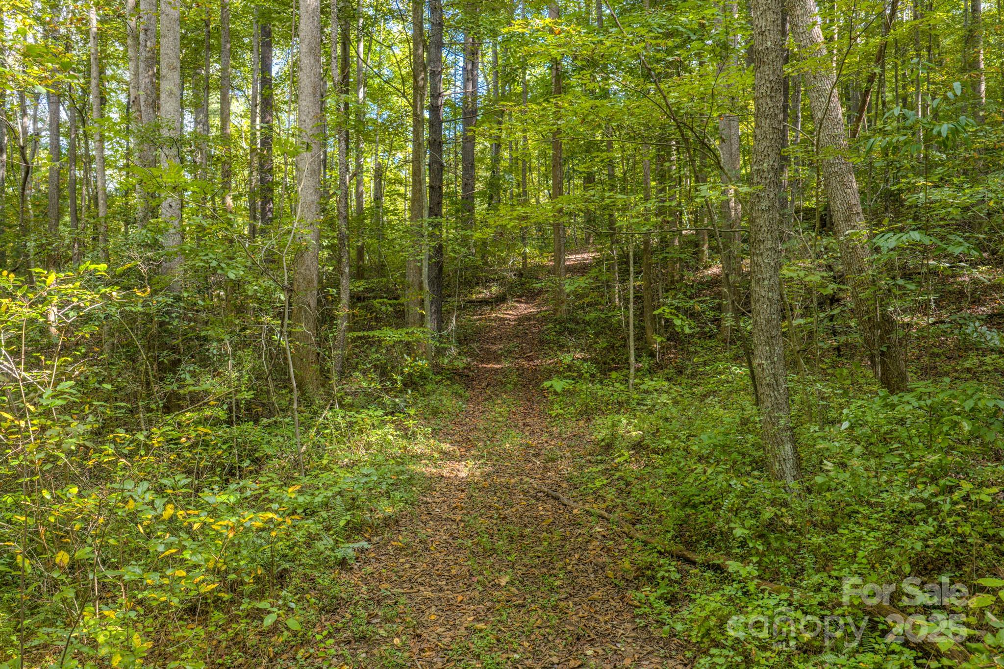 170 Midnight Sun Lane Old Fort NC 28762