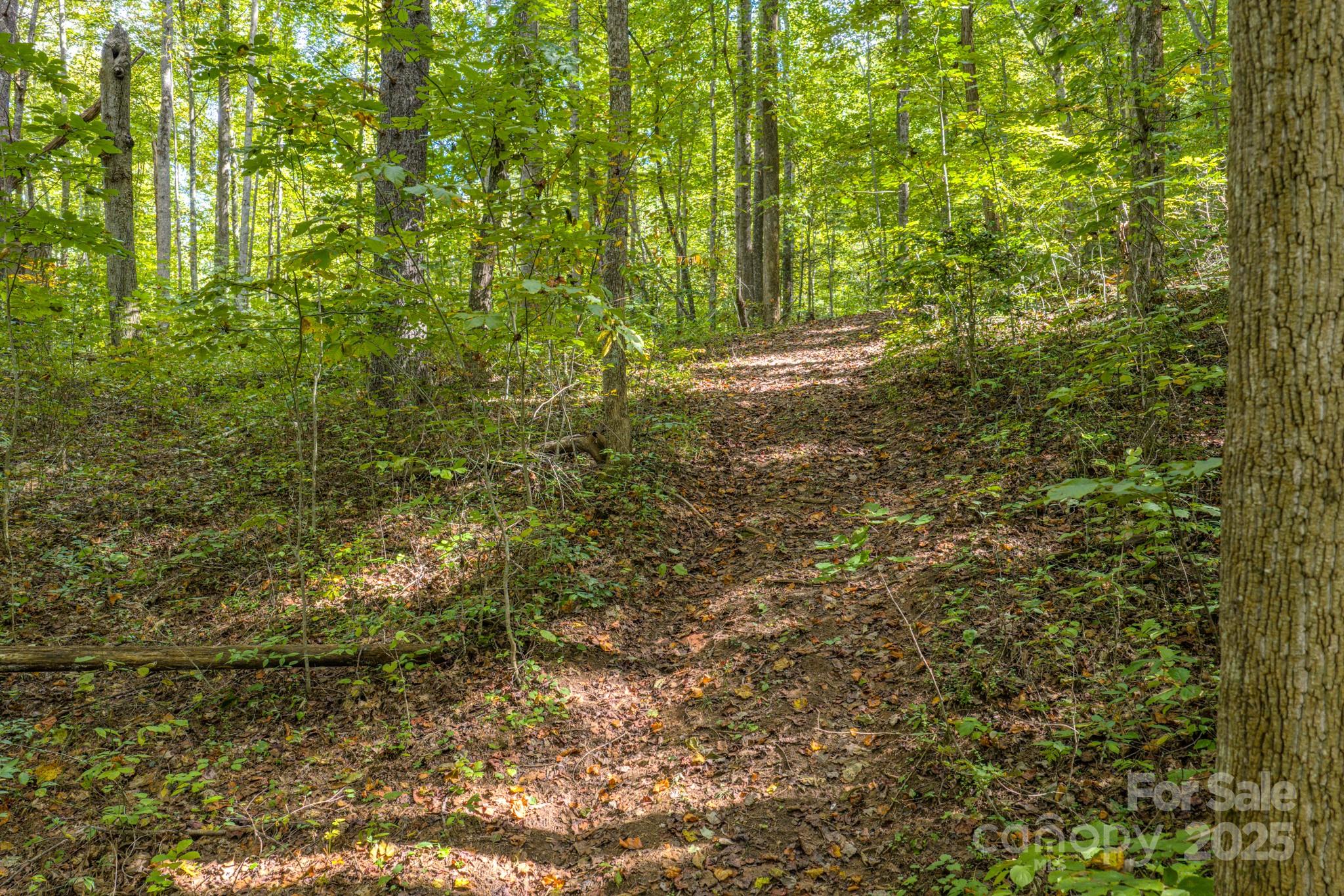 170 Midnight Sun Lane Old Fort NC 28762