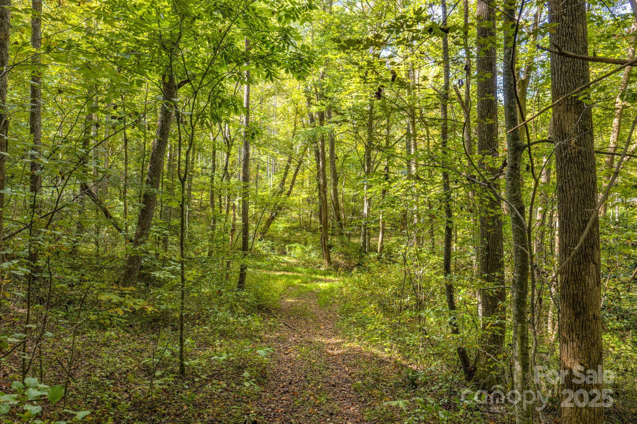 170 Midnight Sun Lane Old Fort NC 28762