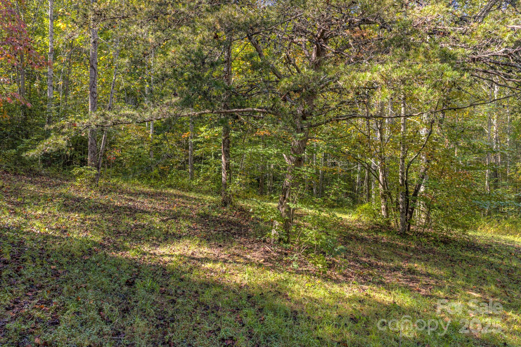 170 Midnight Sun Lane Old Fort NC 28762