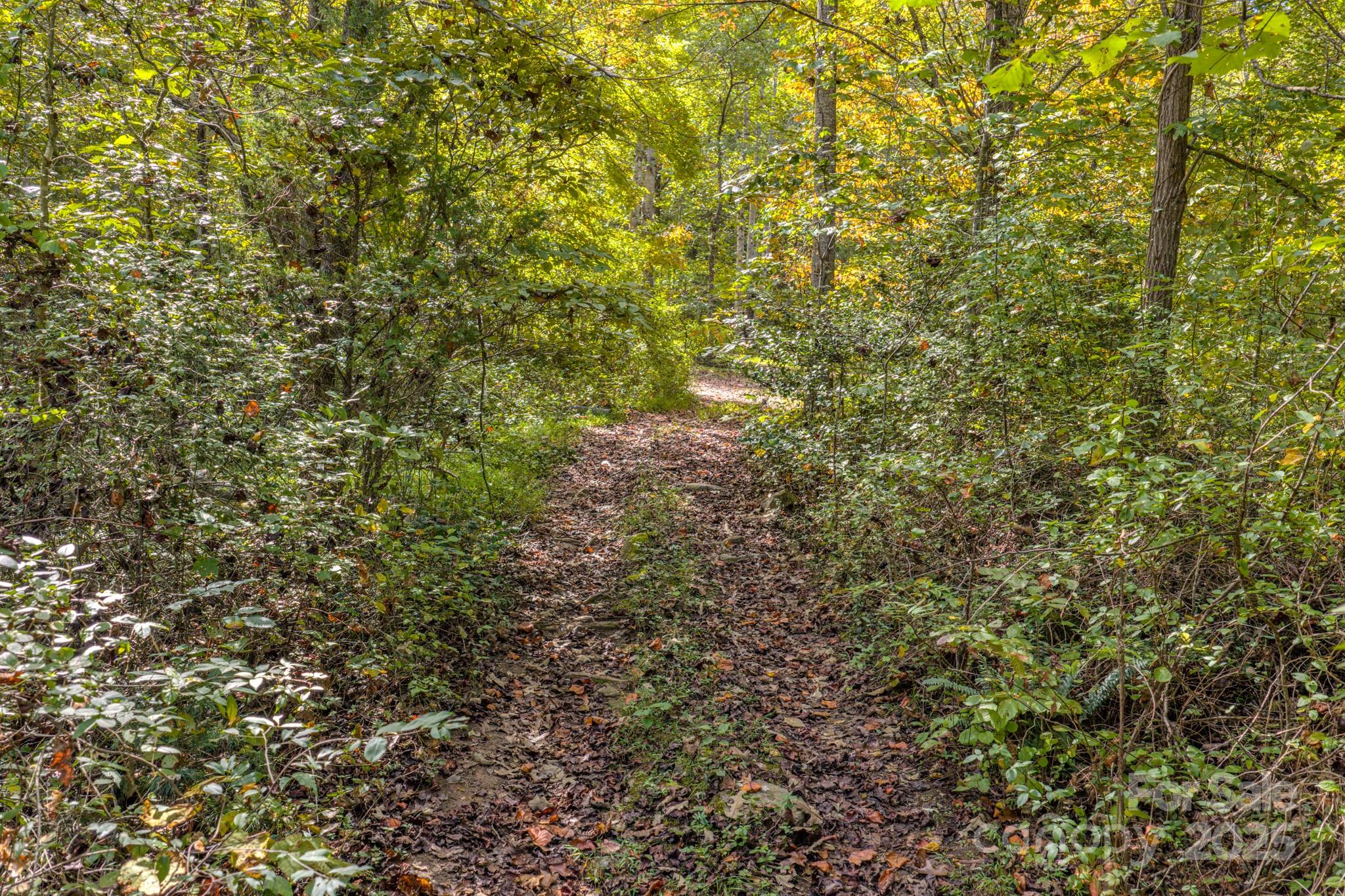 170 Midnight Sun Lane Old Fort NC 28762