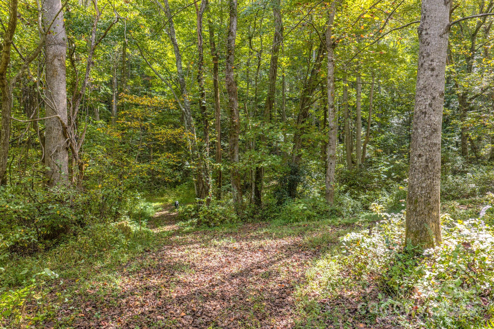 170 Midnight Sun Lane Old Fort NC 28762