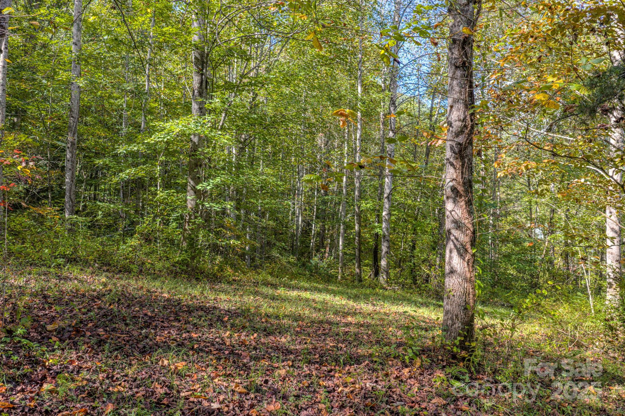 170 Midnight Sun Lane Old Fort NC 28762