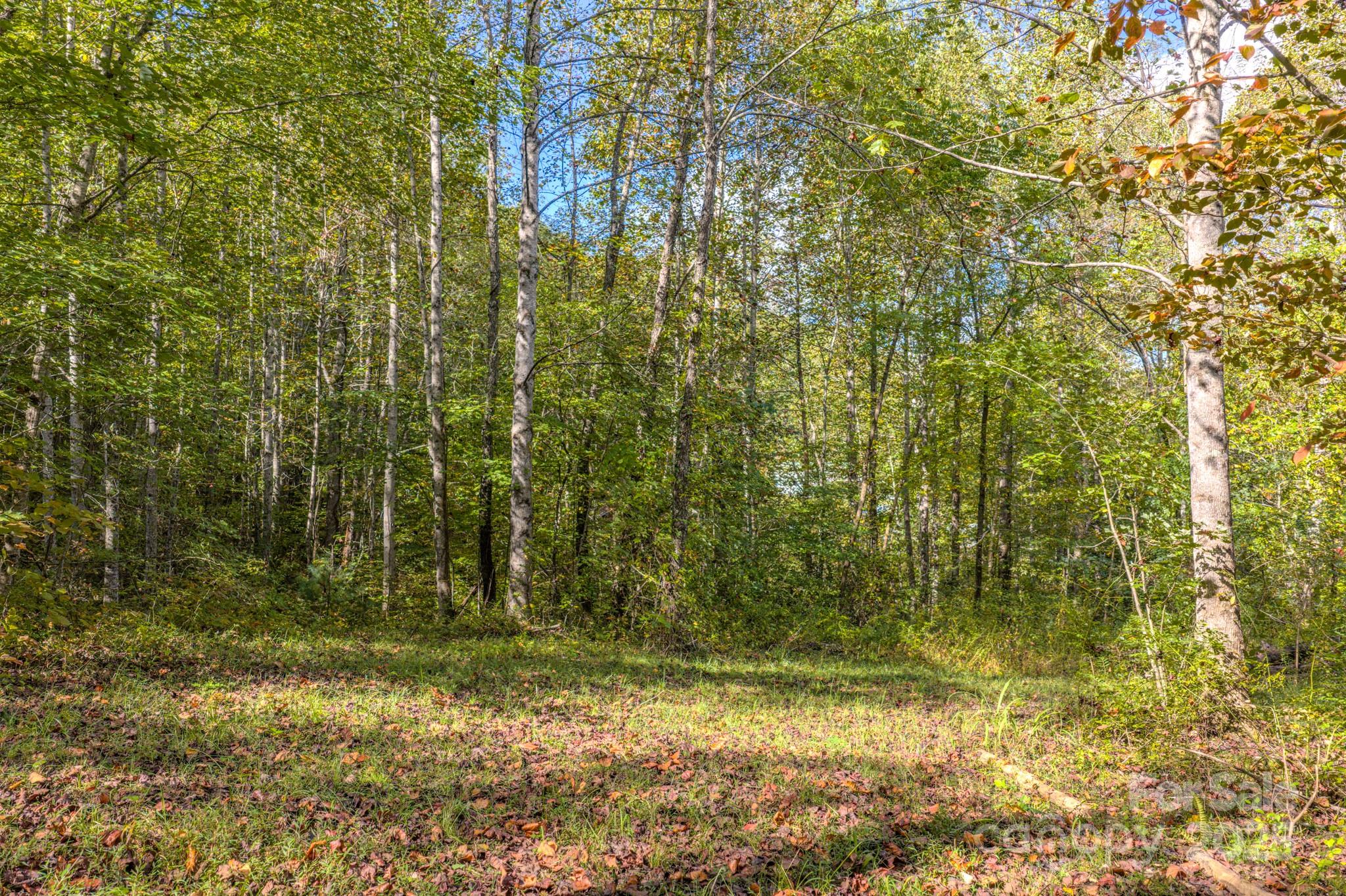 170 Midnight Sun Lane Old Fort NC 28762