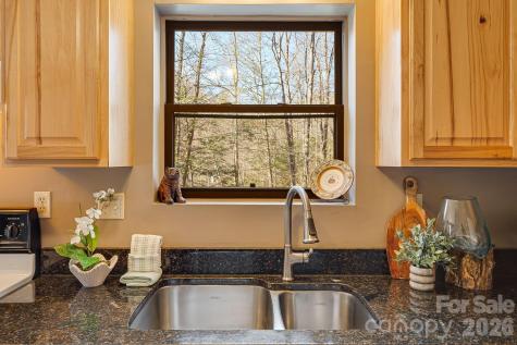 41 Gold Anchor Lane Black Mountain NC 28711