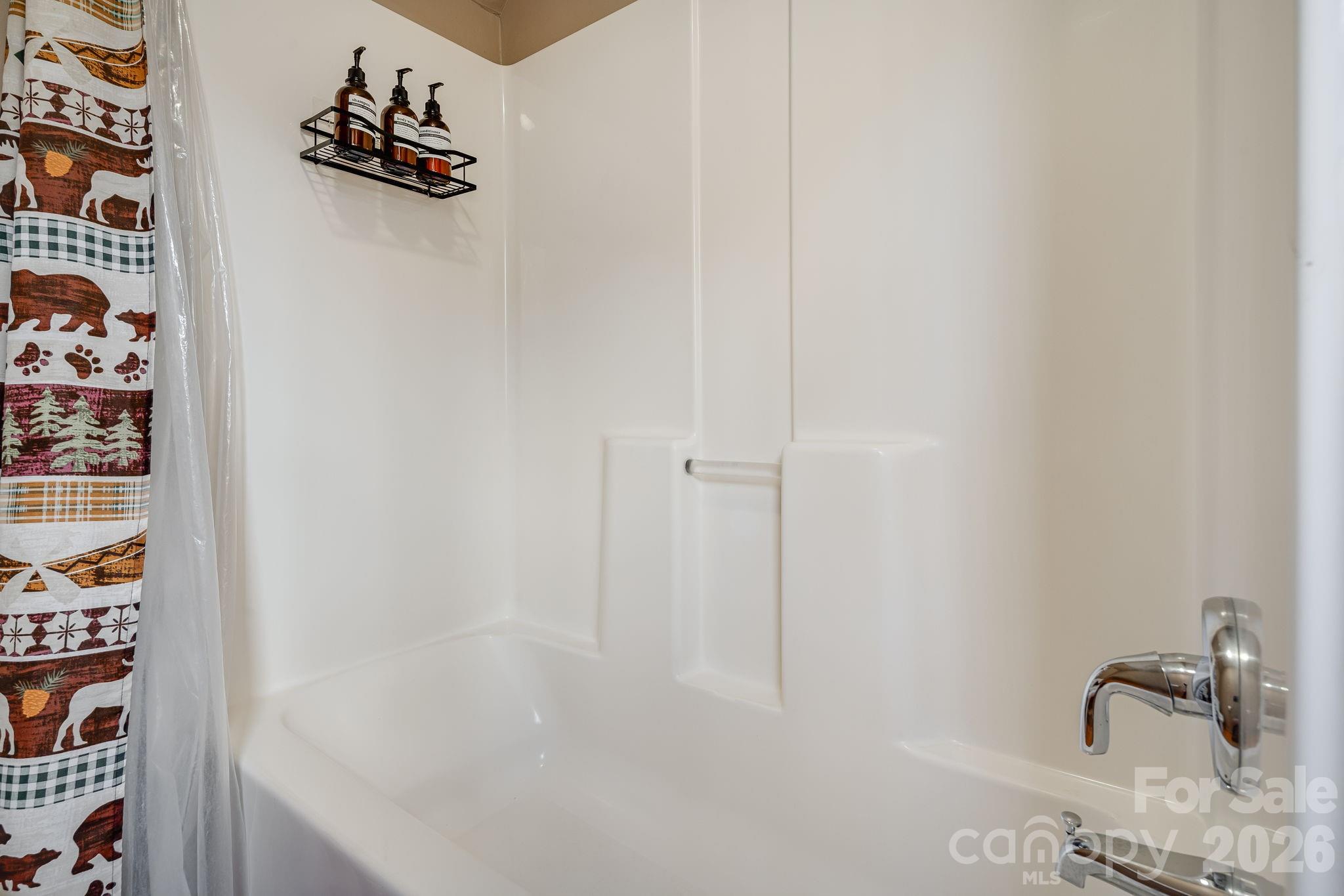 41 Gold Anchor Lane Black Mountain NC 28711