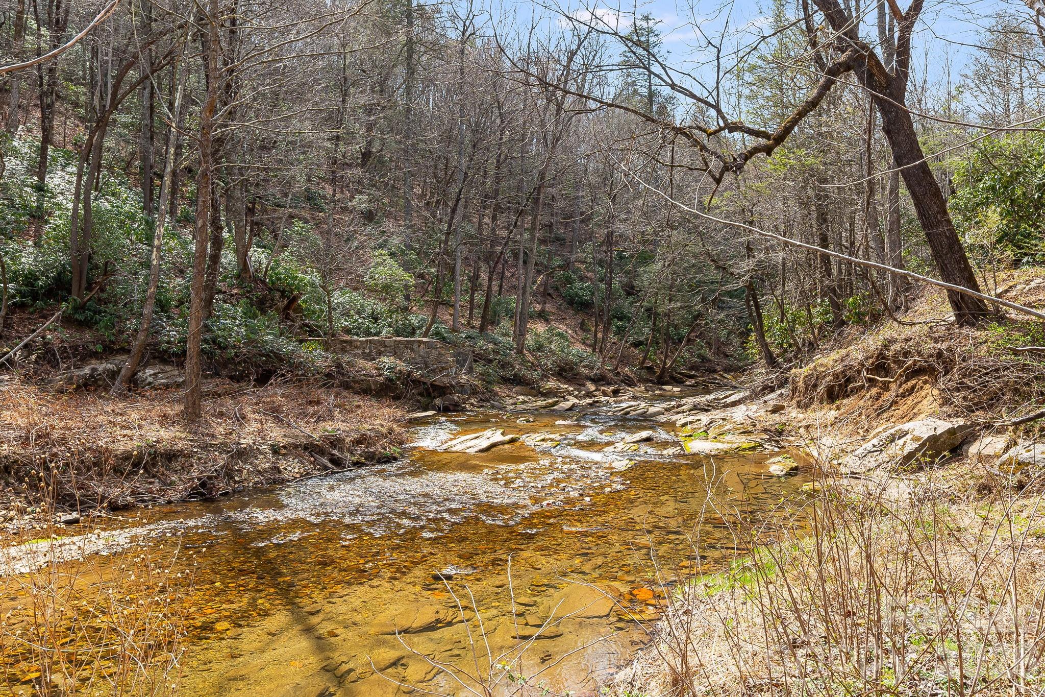 41 Gold Anchor Lane Black Mountain NC 28711