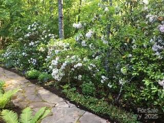 37 Wood Robin Lane Black Mountain NC 28711