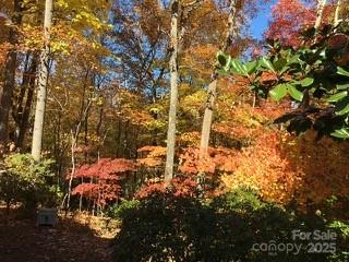 37 Wood Robin Lane Black Mountain NC 28711