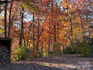 37 Wood Robin Lane Black Mountain NC 28711