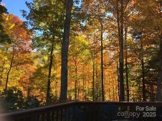 37 Wood Robin Lane Black Mountain NC 28711