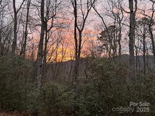 37 Wood Robin Lane Black Mountain NC 28711