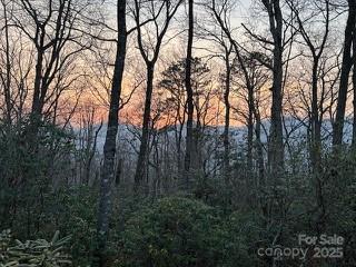 37 Wood Robin Lane Black Mountain NC 28711