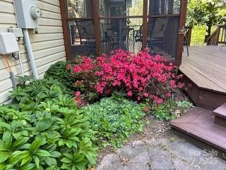 37 Wood Robin Lane Black Mountain NC 28711