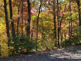 37 Wood Robin Lane Black Mountain NC 28711