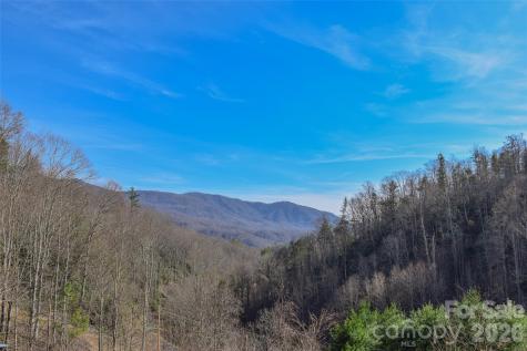 710 Greasy Creek Road Bakersville NC 28705