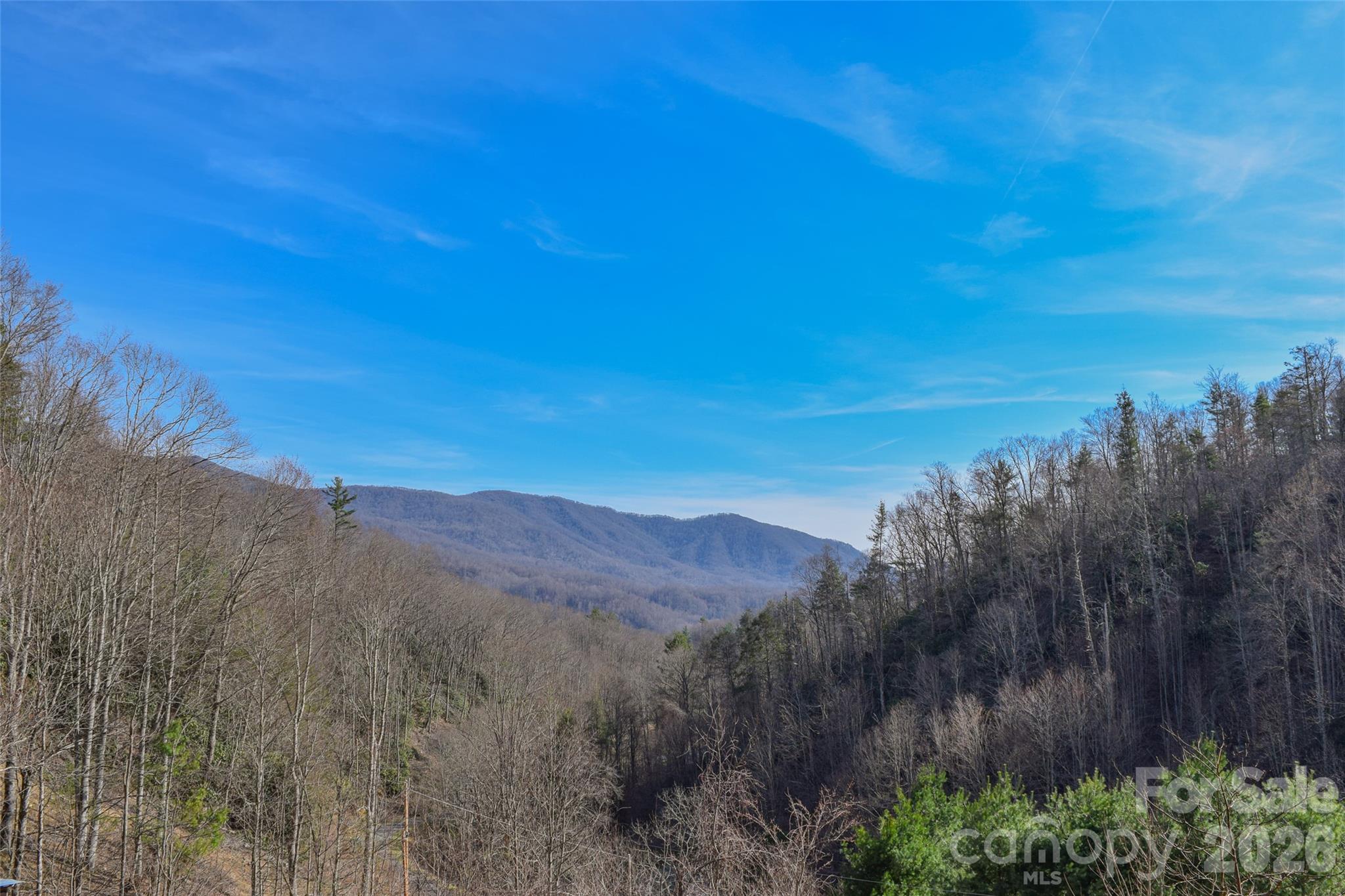 710 Greasy Creek Road Bakersville NC 28705