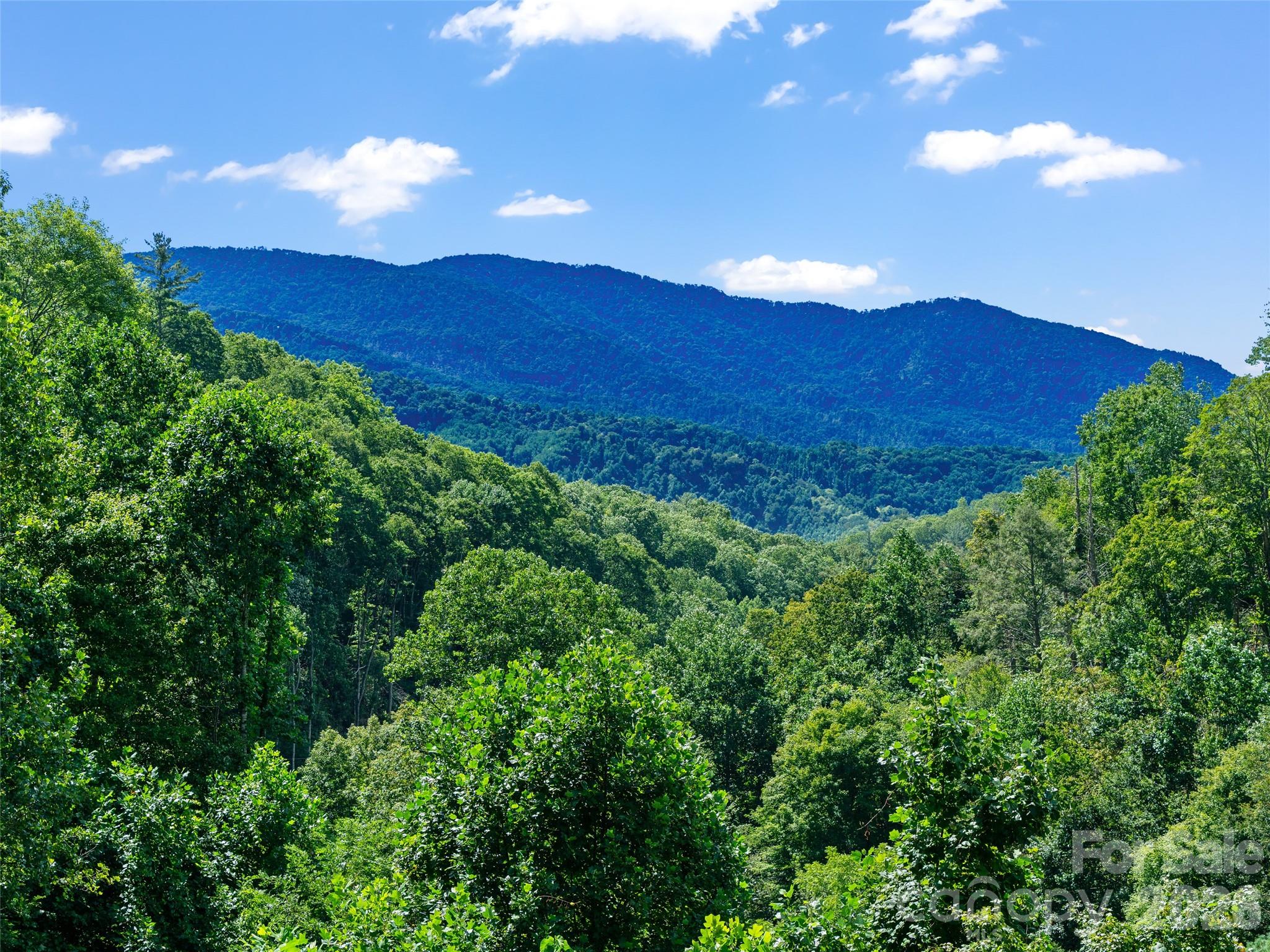 710 Greasy Creek Road Bakersville NC 28705