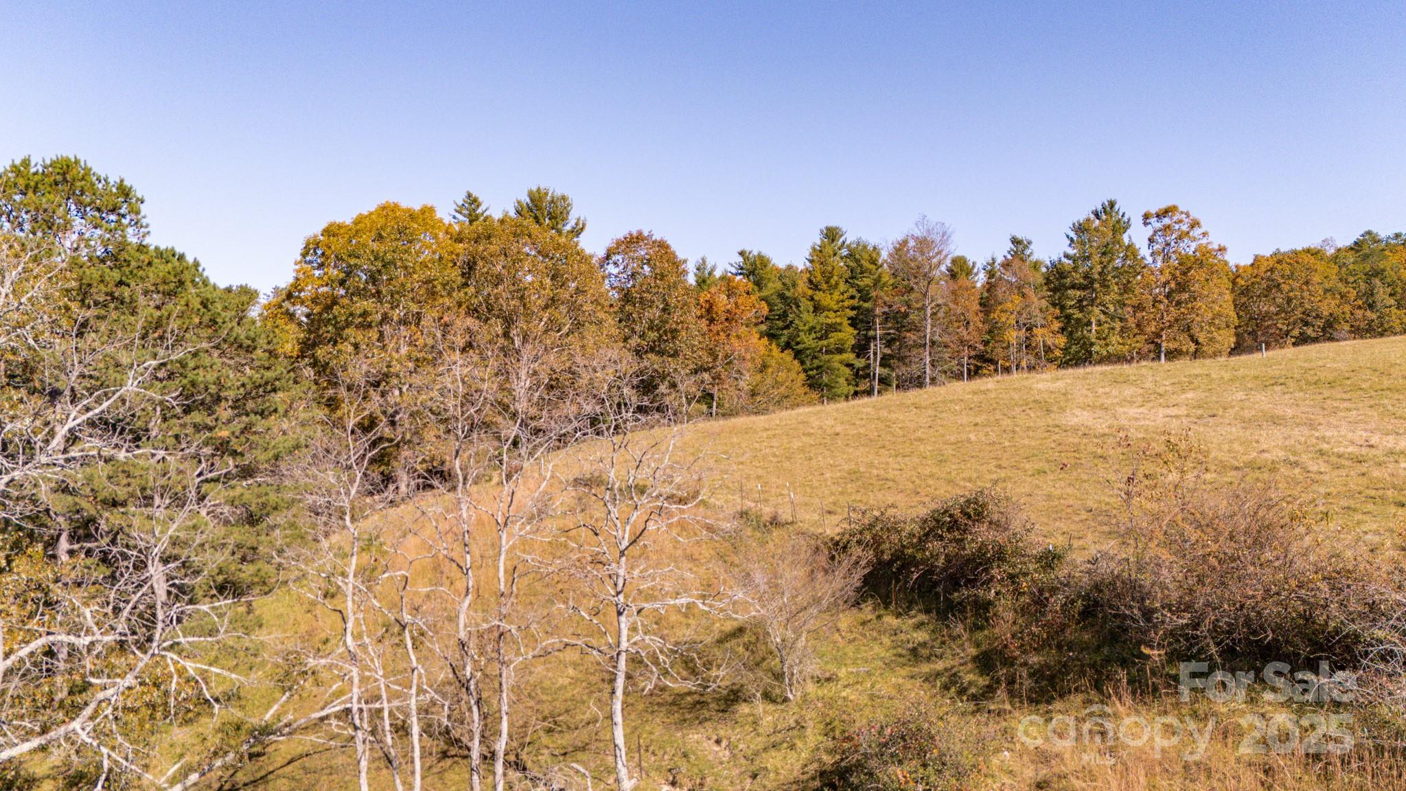 318 Monticello Road Weaverville NC 28787