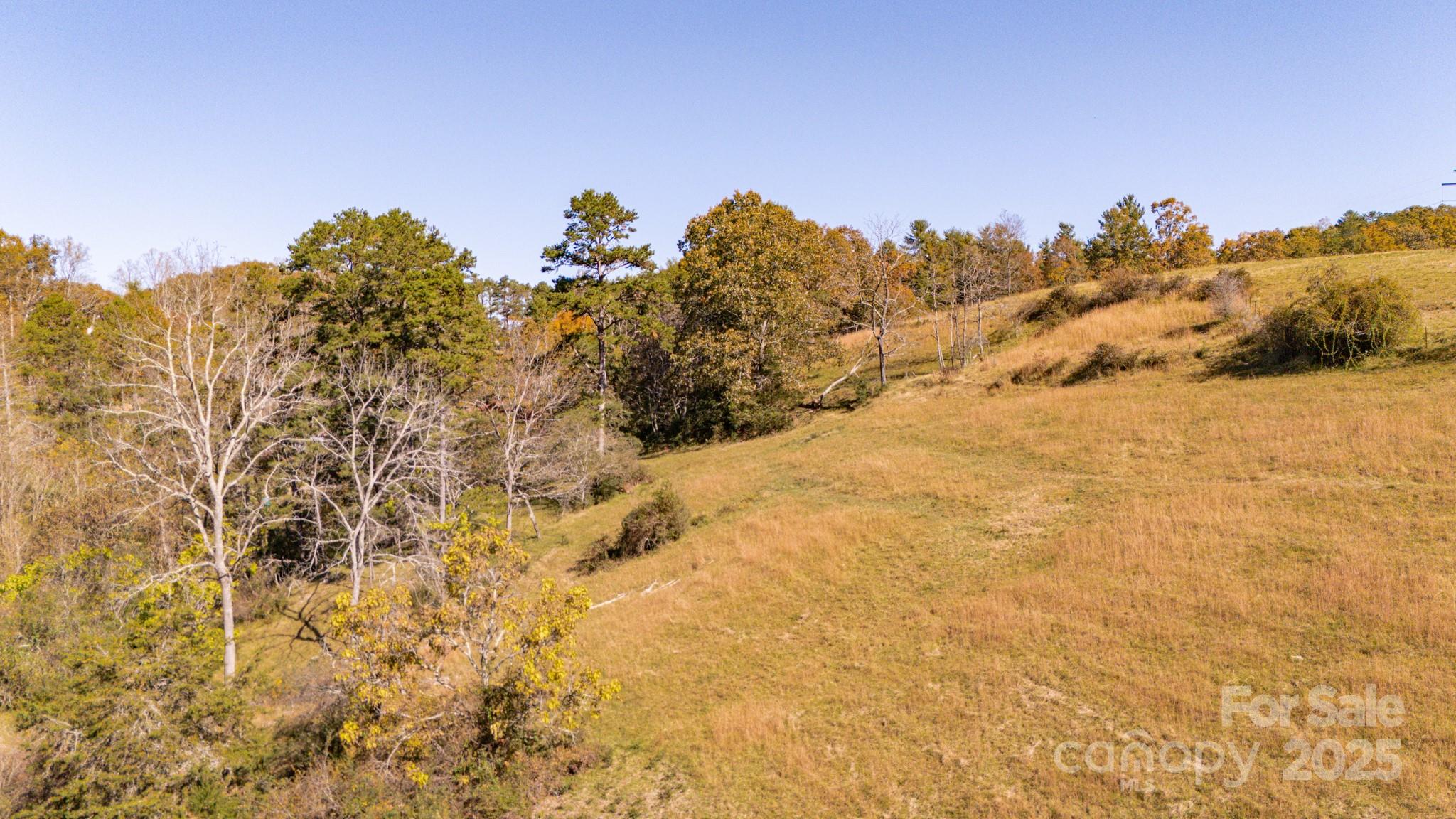 318 Monticello Road Weaverville NC 28787