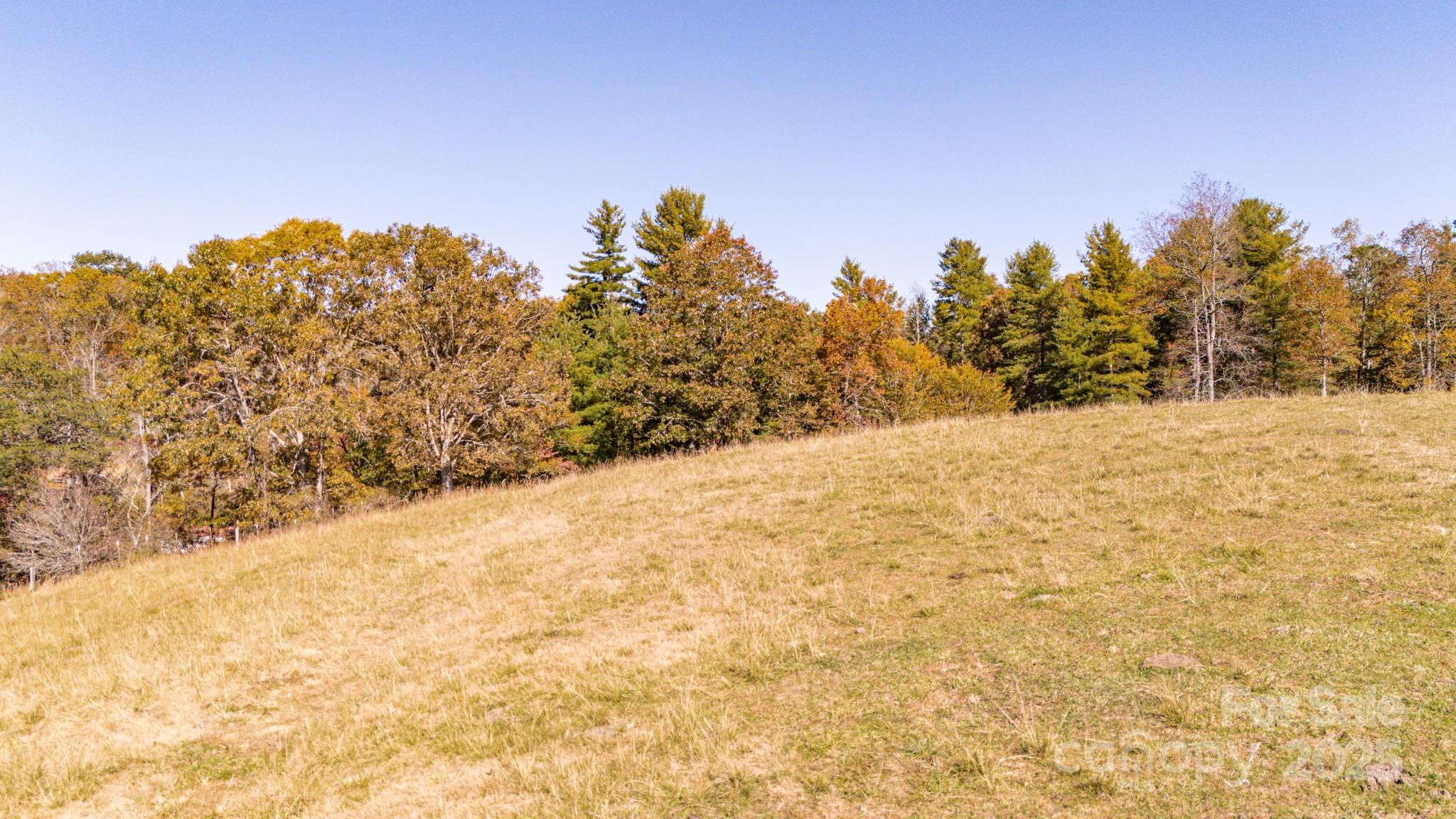 318 Monticello Road Weaverville NC 28787