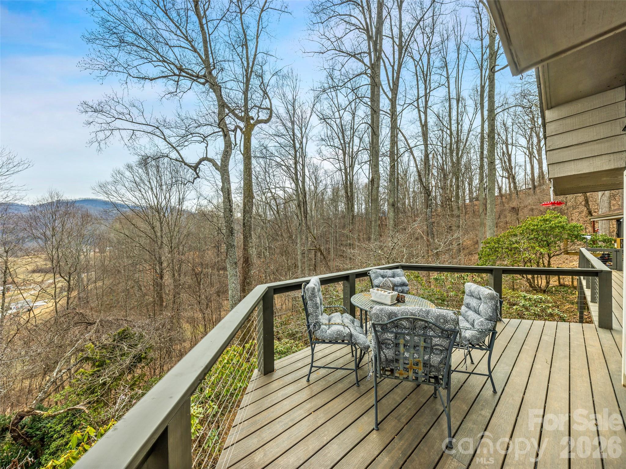 198 Brooks Branch Road Leicester NC 28748