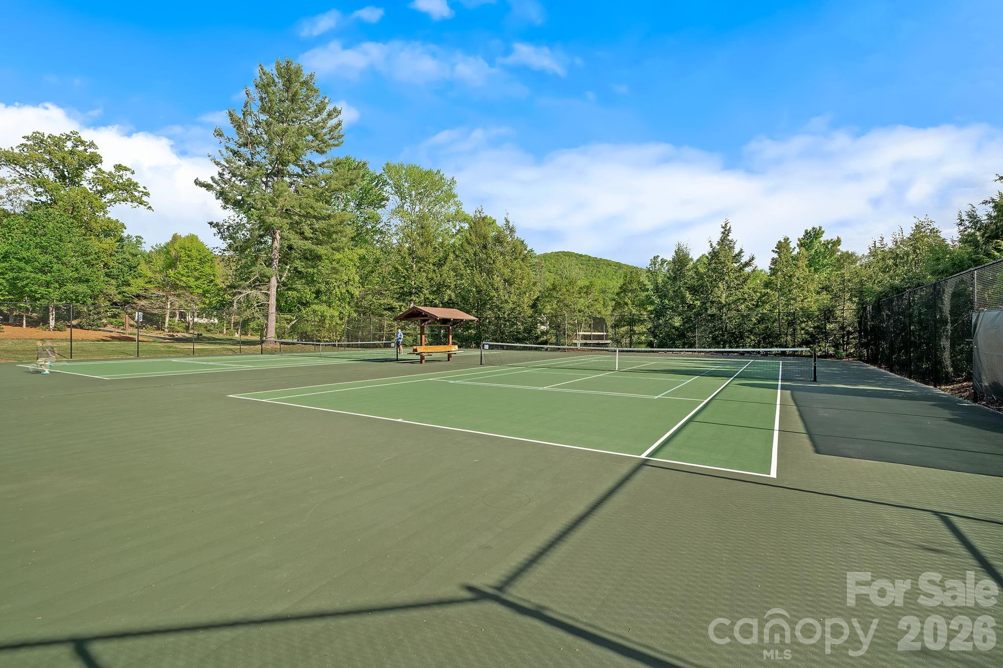 54 Mountain Drive Biltmore Lake NC 28715