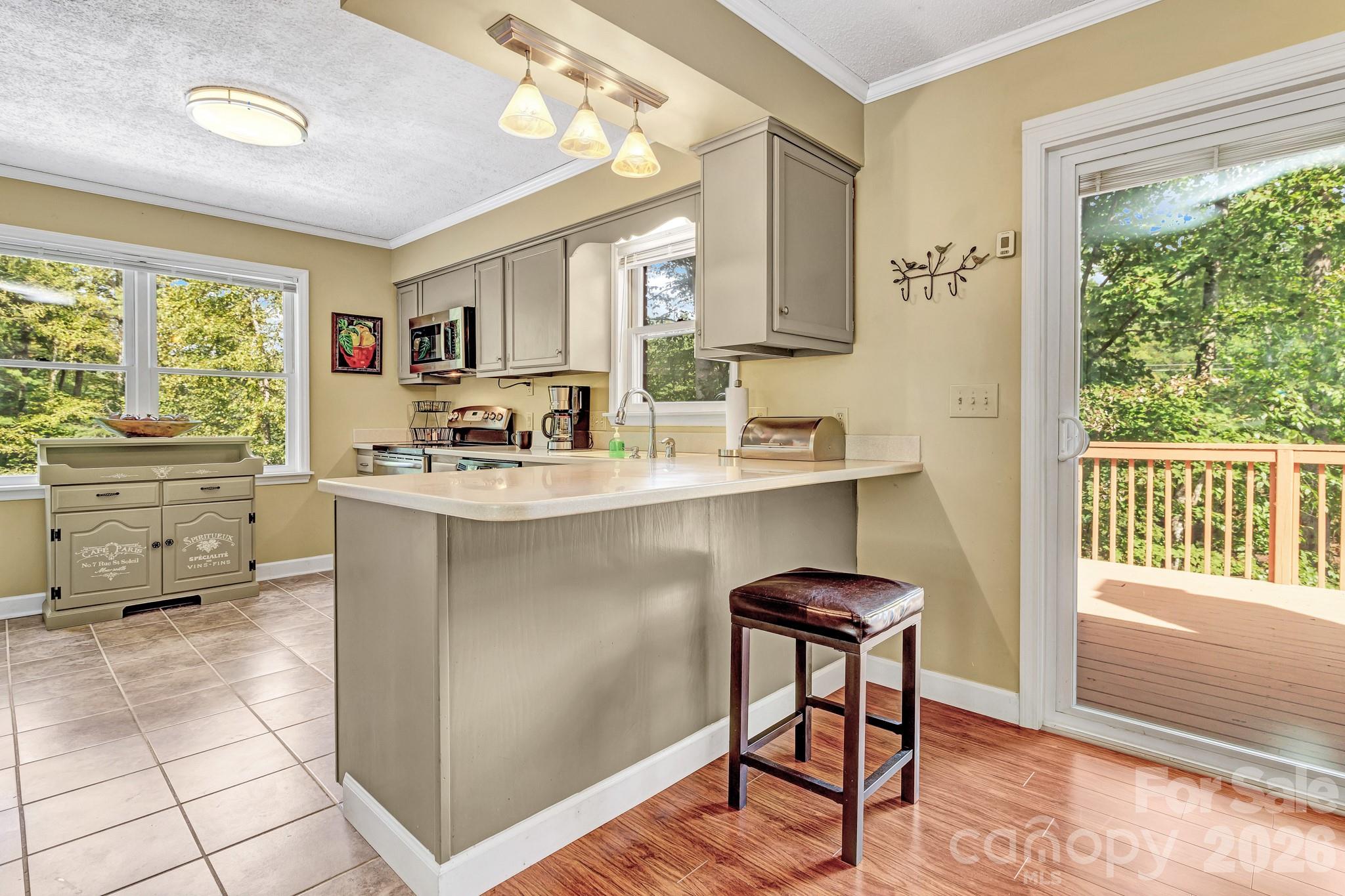 238 Park Lane Hendersonville NC 28791