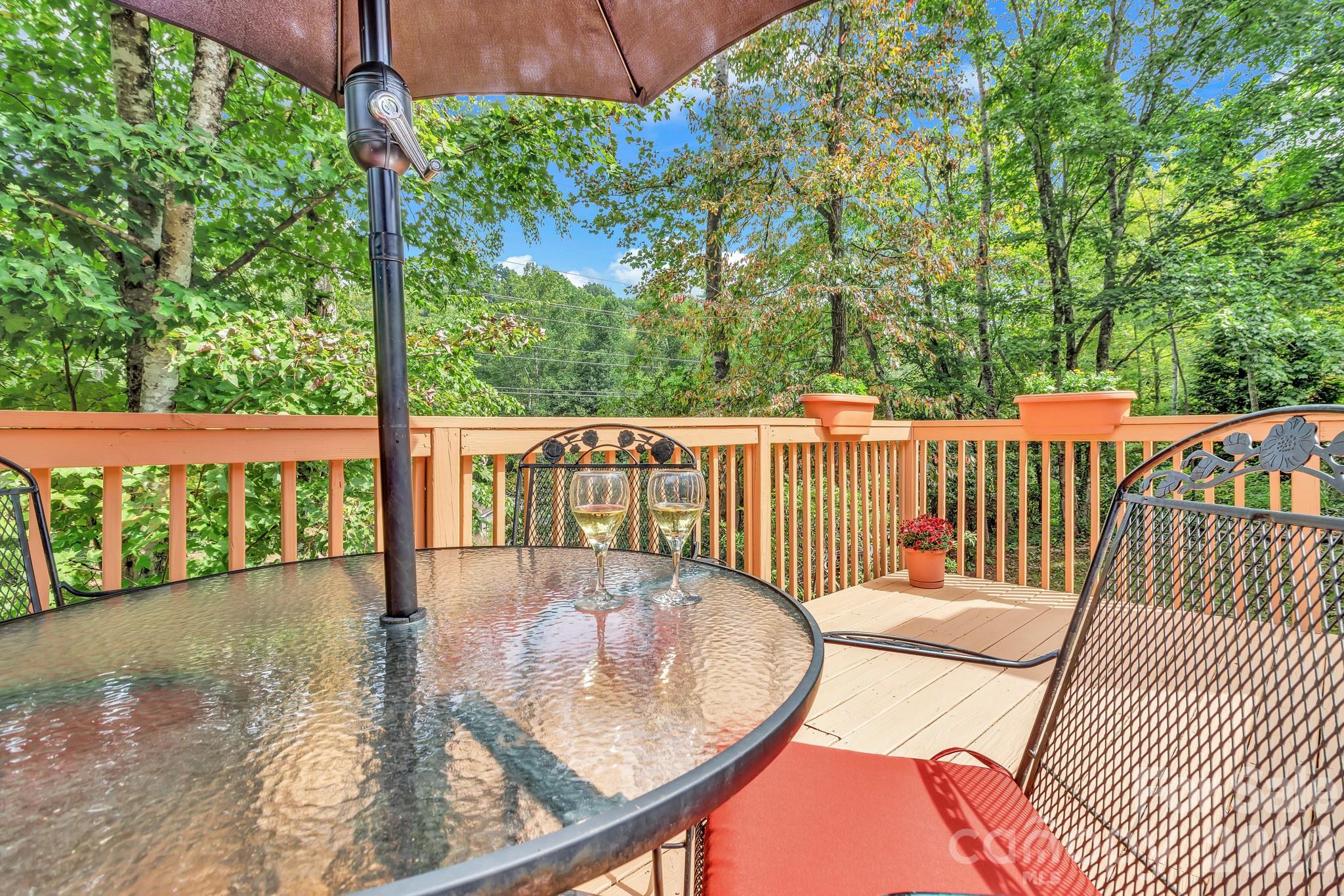 238 Park Lane Hendersonville NC 28791