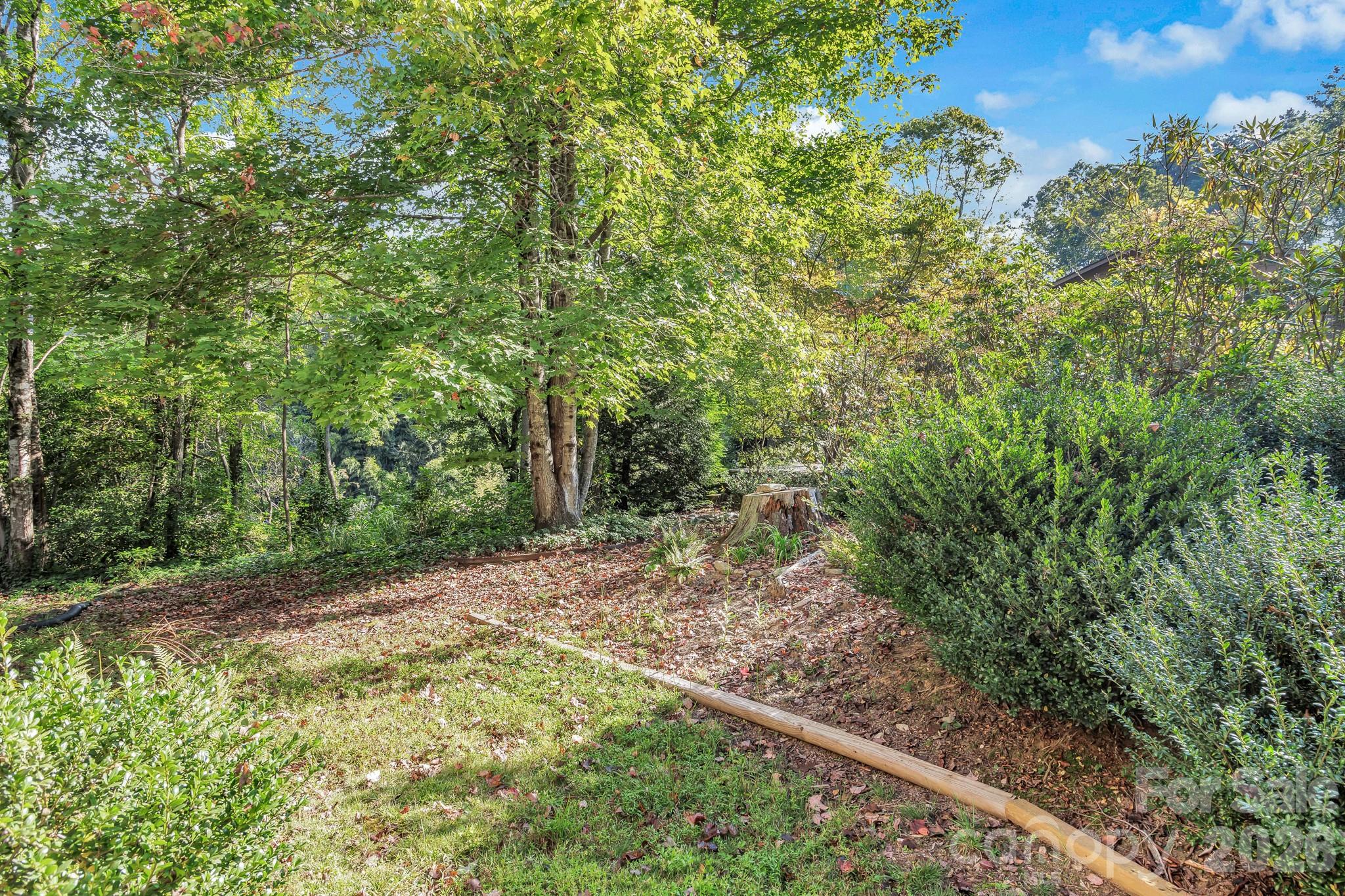 238 Park Lane Hendersonville NC 28791