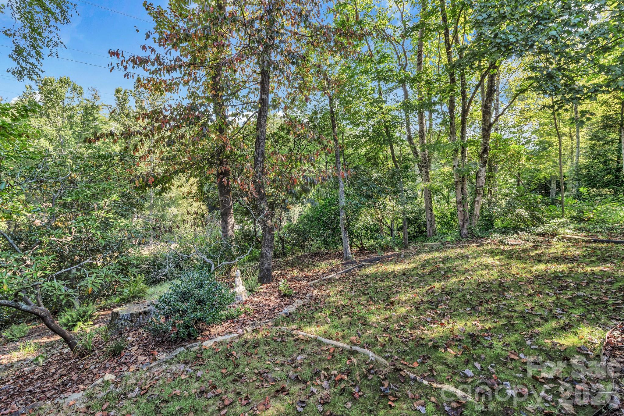 238 Park Lane Hendersonville NC 28791