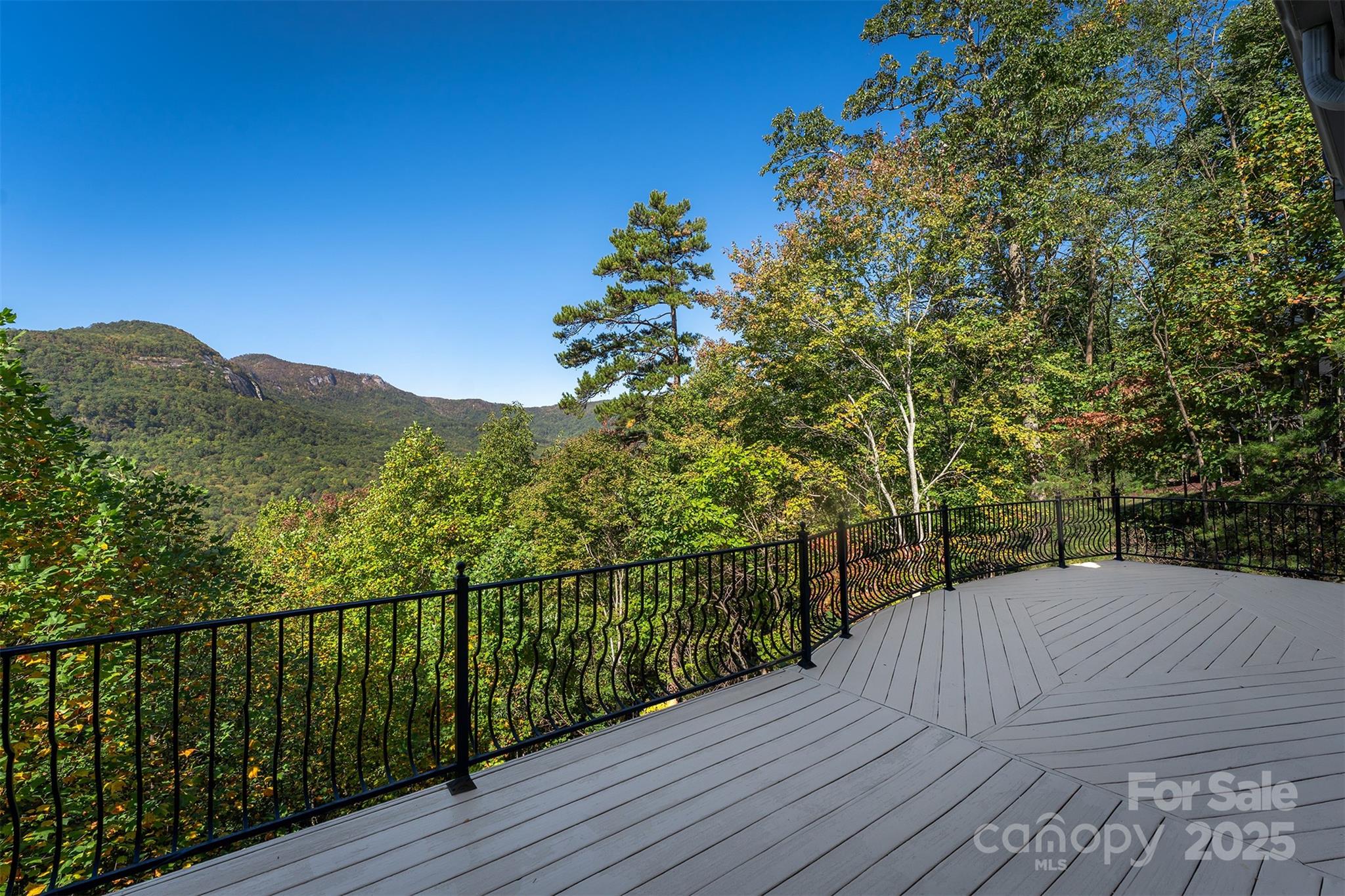345 Hawks Nest Trail Lake Lure NC 28746