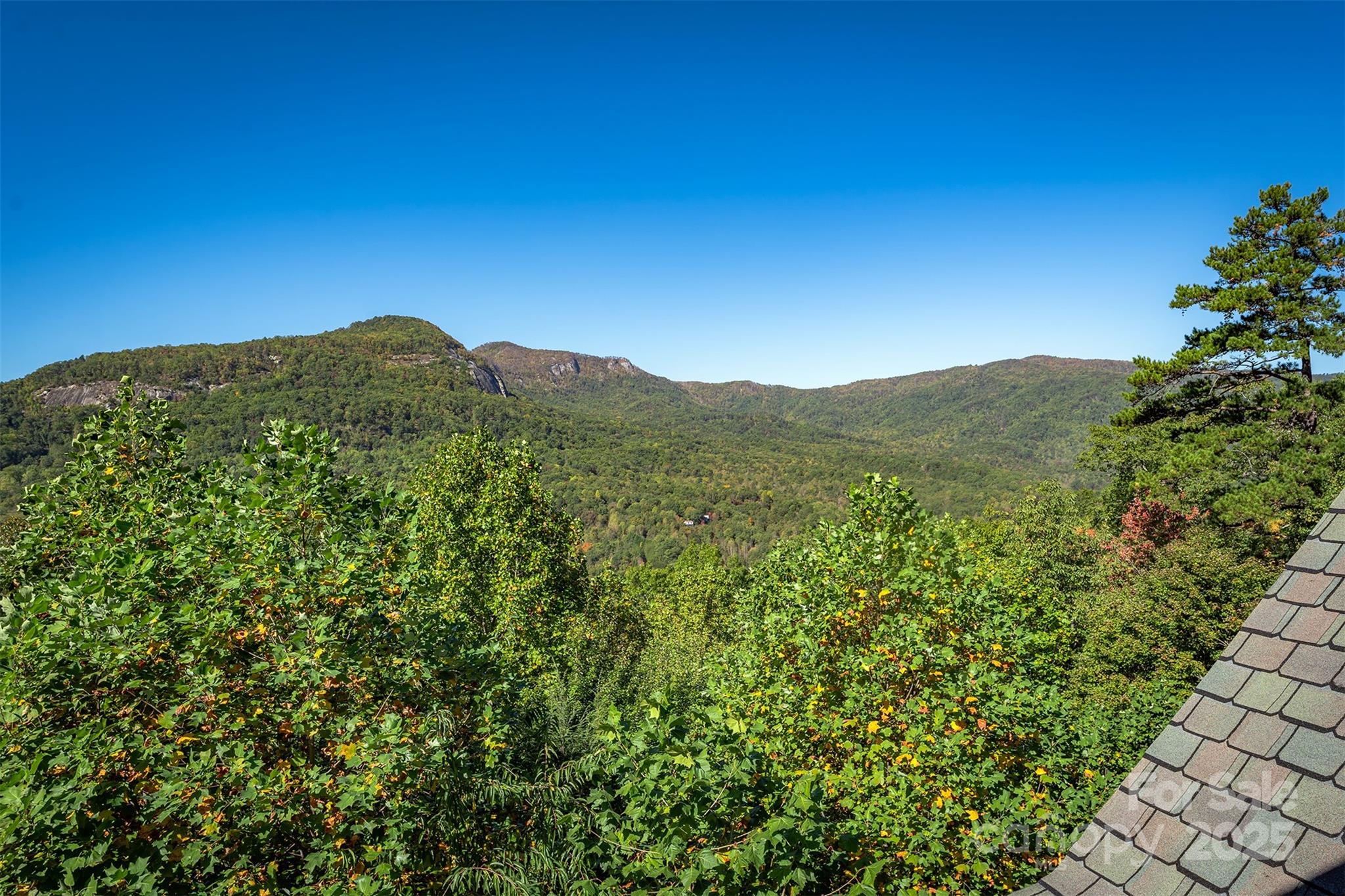 345 Hawks Nest Trail Lake Lure NC 28746