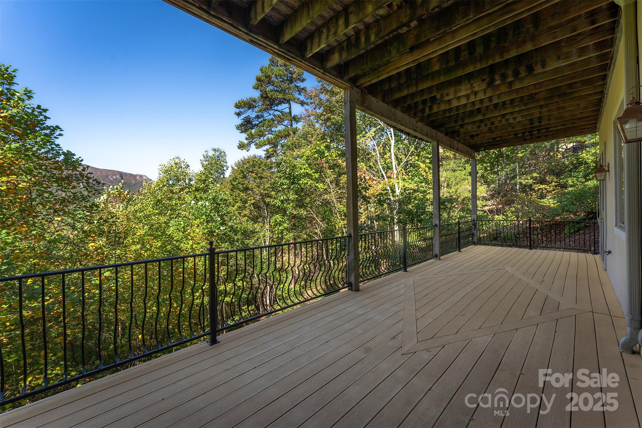 345 Hawks Nest Trail Lake Lure NC 28746