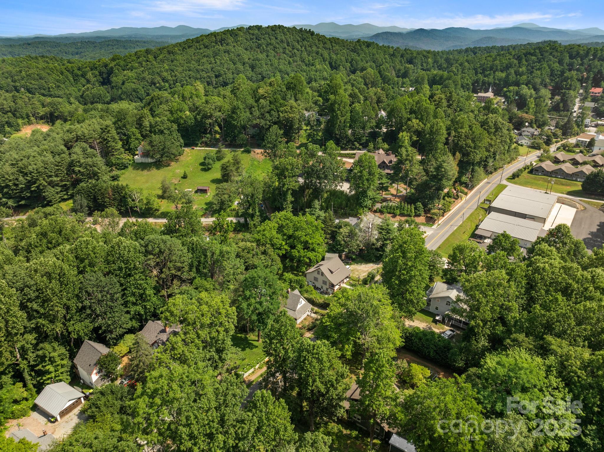 334 Greenville Street Saluda NC 28773
