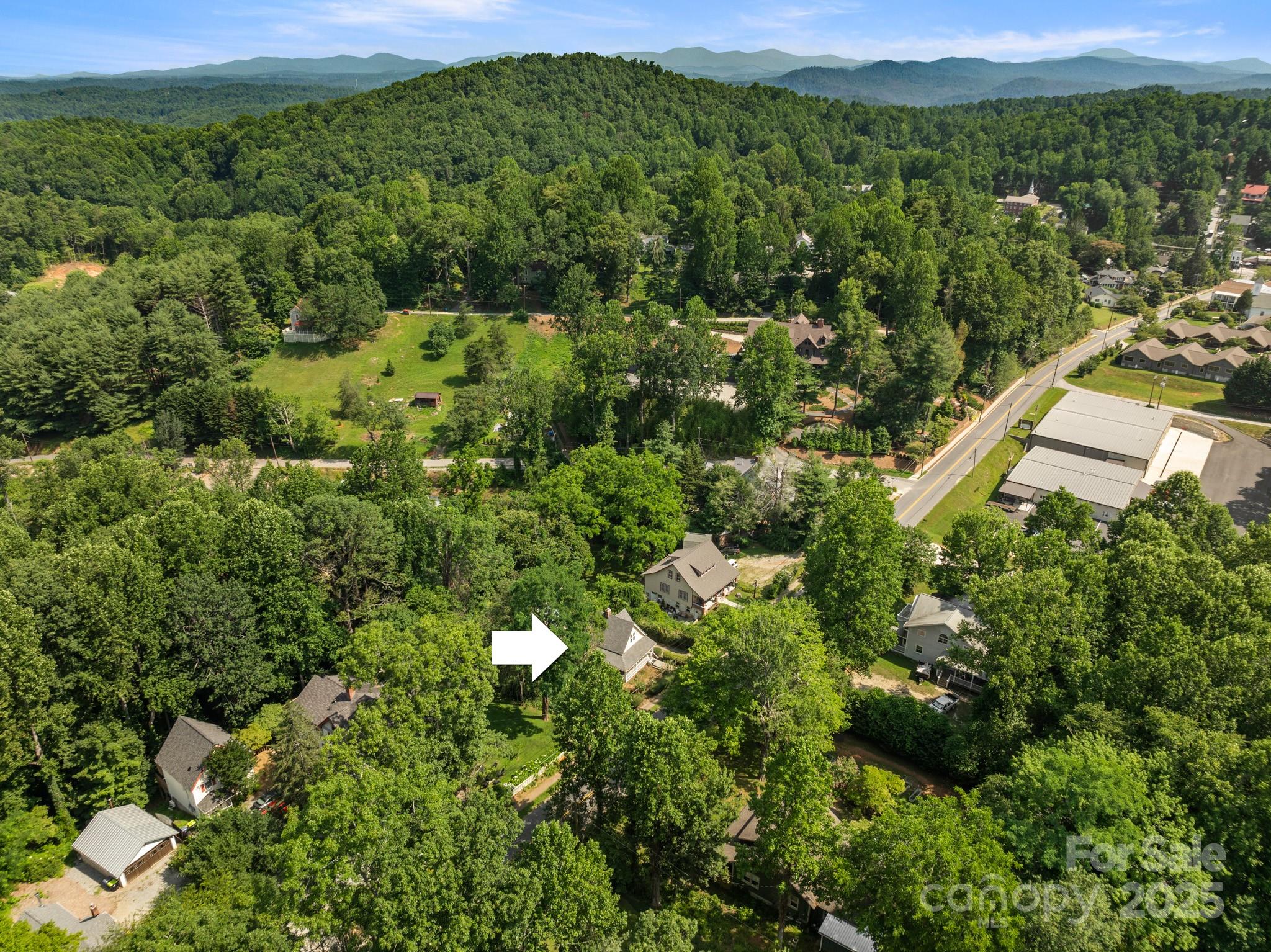 334 Greenville Street Saluda NC 28773