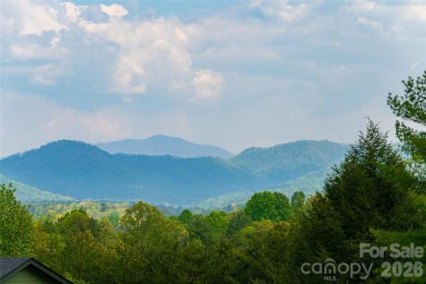 19 Ginger Spice Trail Weaverville NC 28787