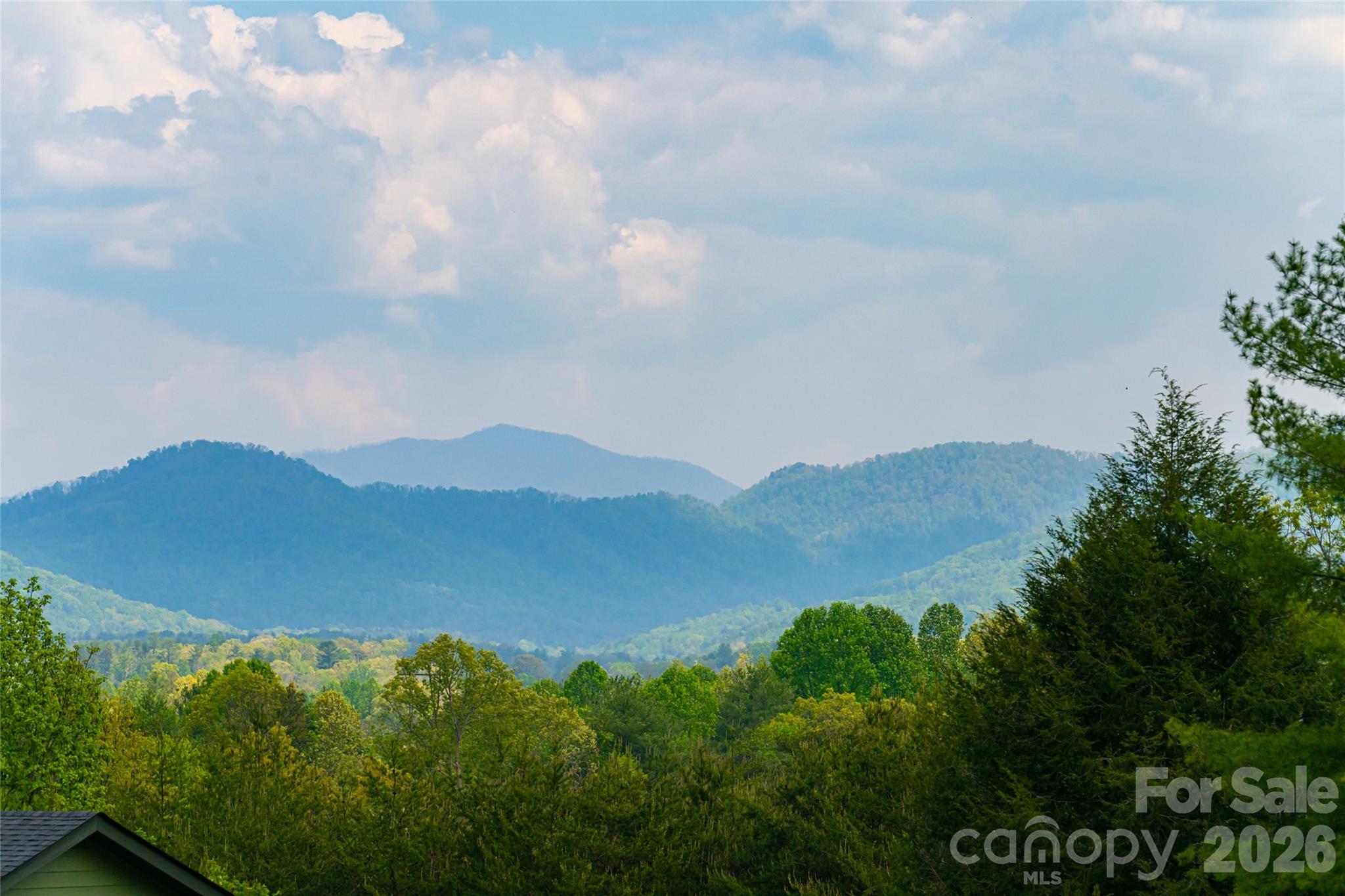 19 Ginger Spice Trail Weaverville NC 28787
