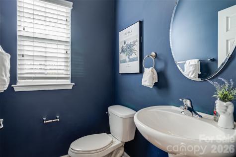 447 Leaf Arbor Court Lake Wylie SC 29710