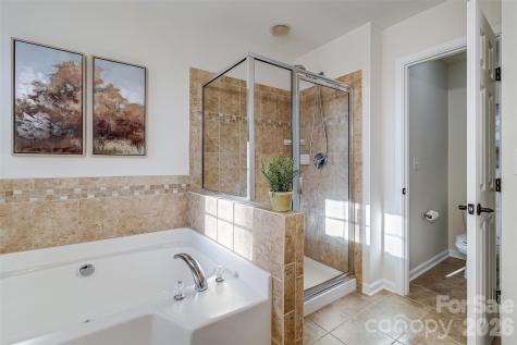 447 Leaf Arbor Court Lake Wylie SC 29710