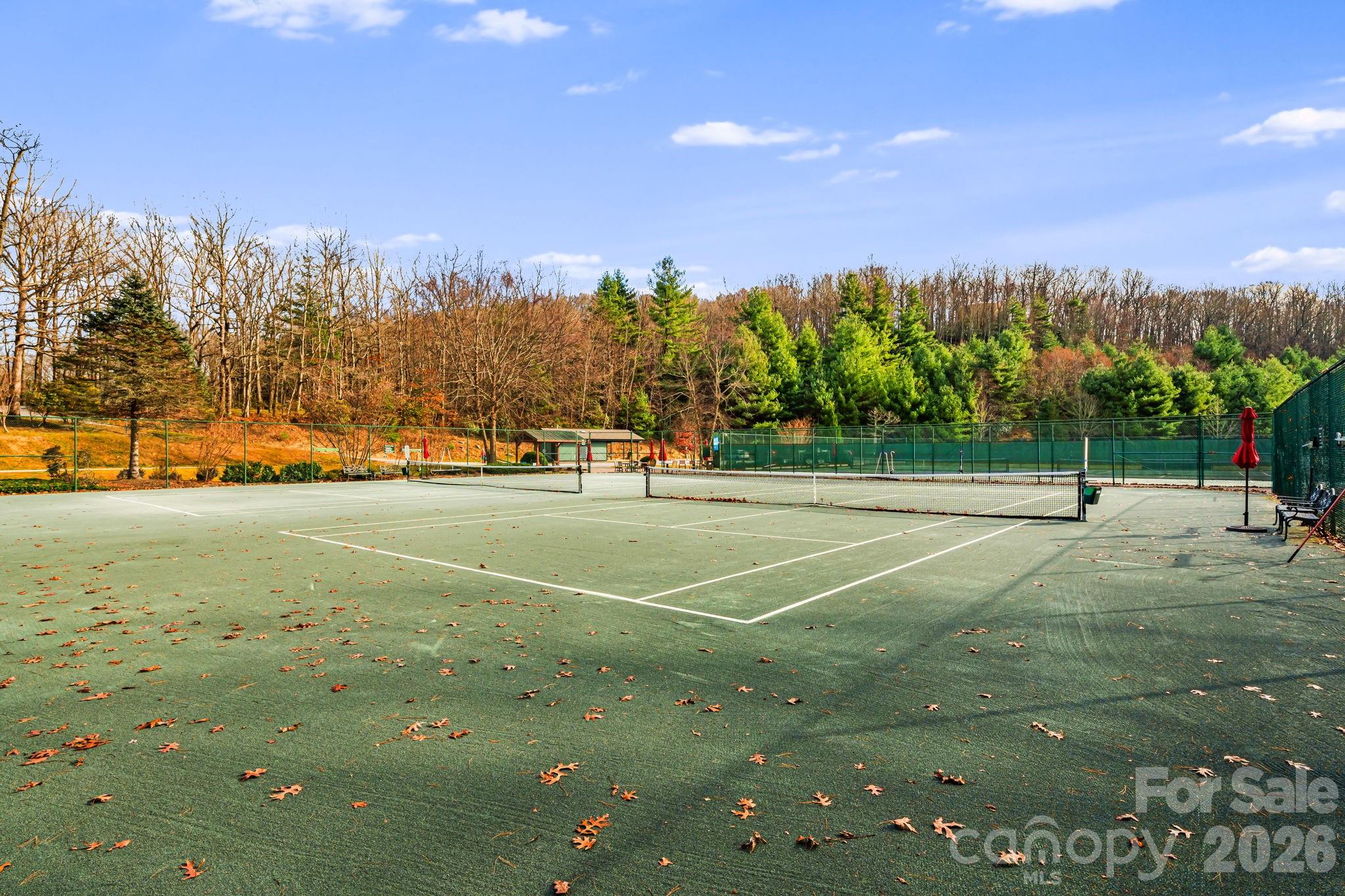 14 Isuhdavga Court Brevard NC 28712