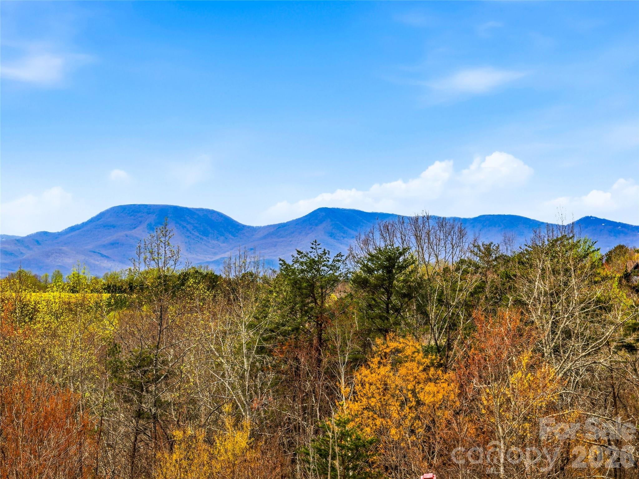 286 Preservation Trail Columbus NC 28722