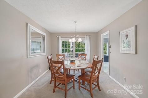 25 Hazel Court Brevard NC 28712