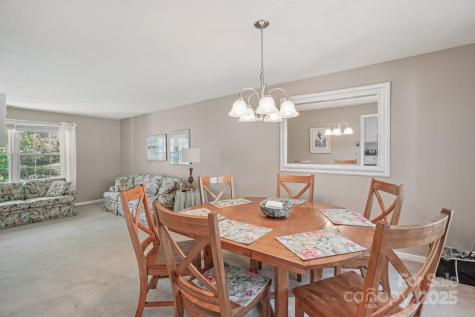 25 Hazel Court Brevard NC 28712