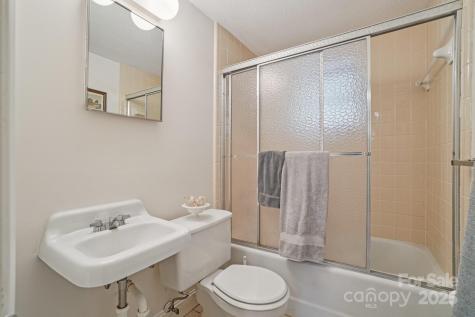 25 Hazel Court Brevard NC 28712