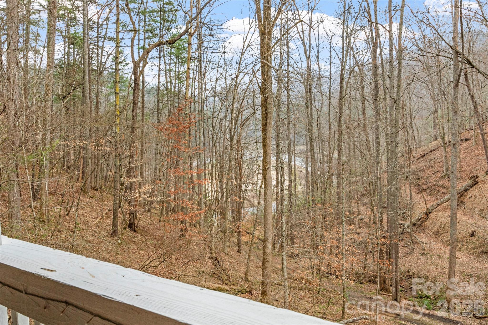 2701 Roses Branch Road Bakersville NC 28705