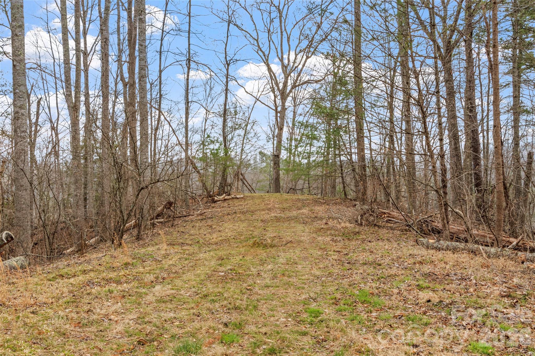 2701 Roses Branch Road Bakersville NC 28705