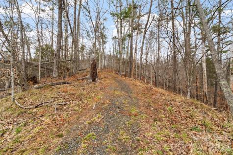 2701 Roses Branch Road Bakersville NC 28705