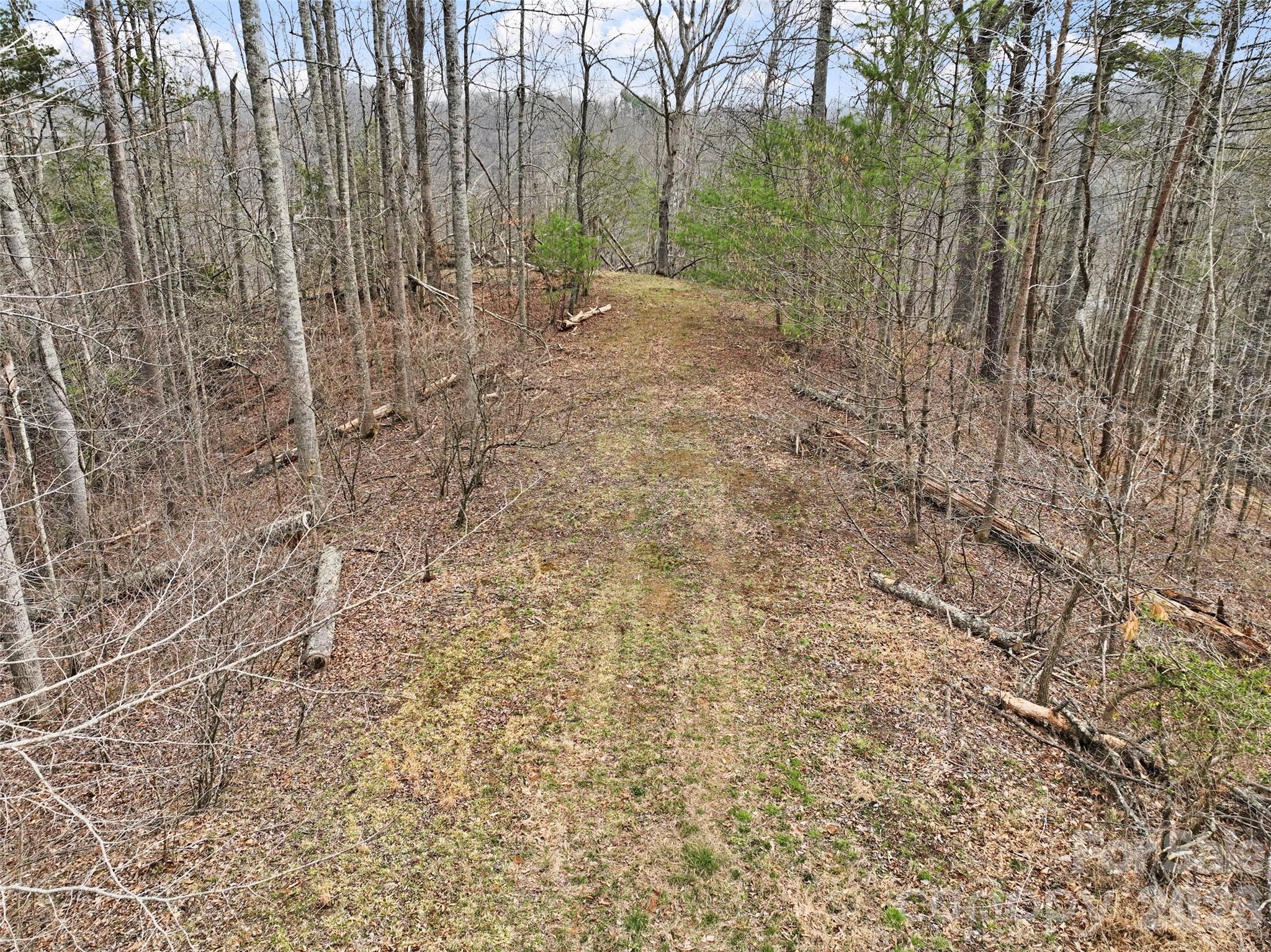 2701 Roses Branch Road Bakersville NC 28705